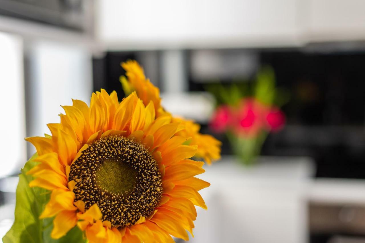 Apartment Chez Lucia